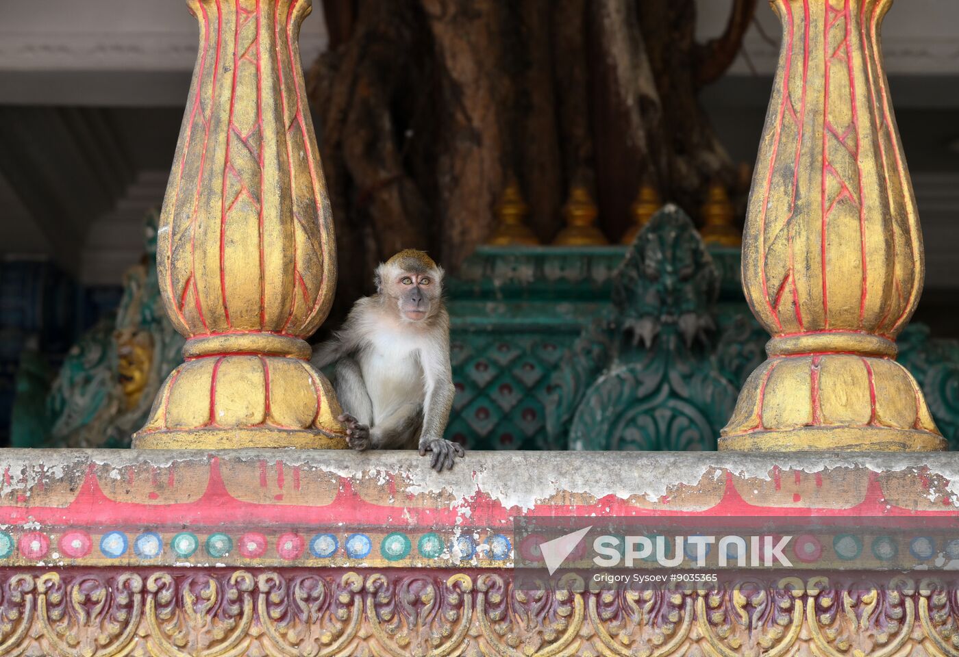 Malaysia Kuala Lumpur Cityscapes