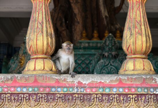 Malaysia Kuala Lumpur Cityscapes