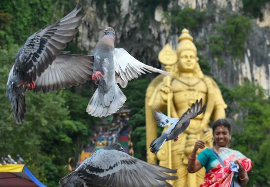 Malaysia Kuala Lumpur Cityscapes