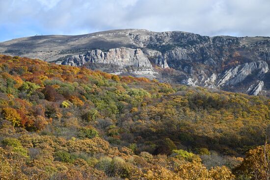 Russia Crimea Environment