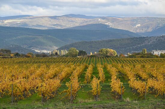 Russia Crimea Environment