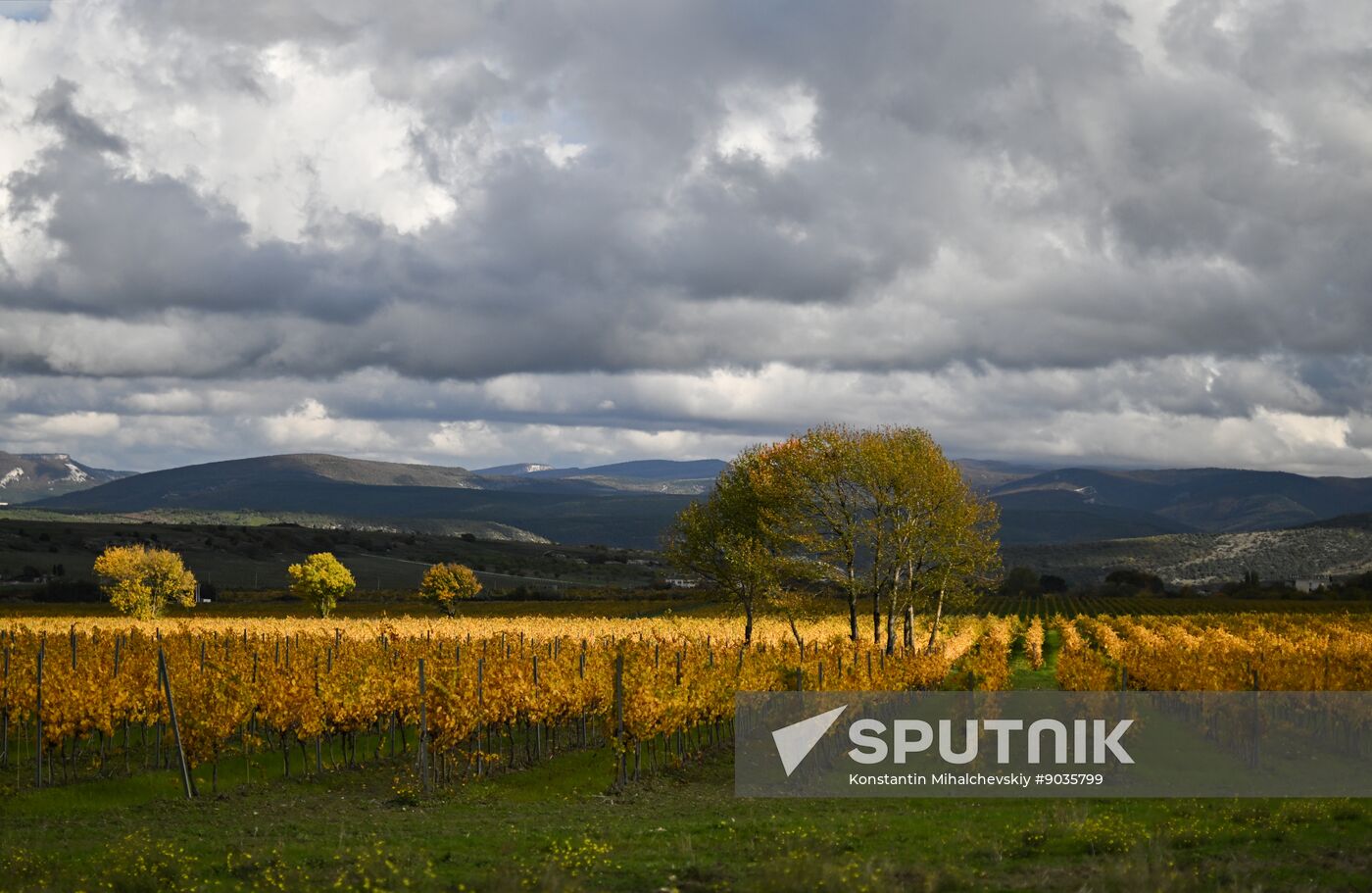 Russia Crimea Environment