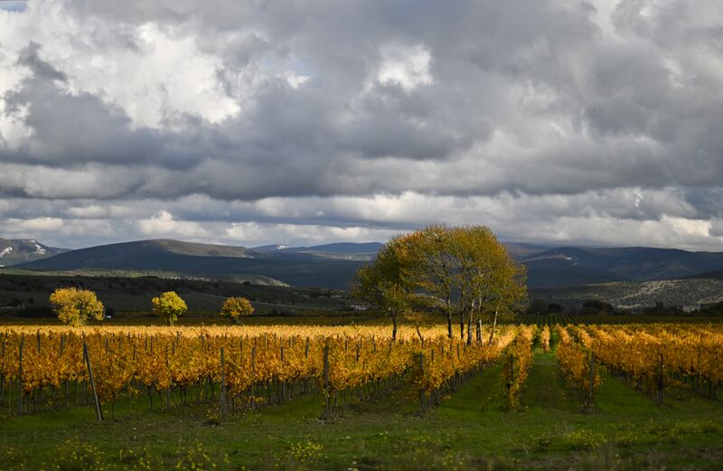 Russia Crimea Environment