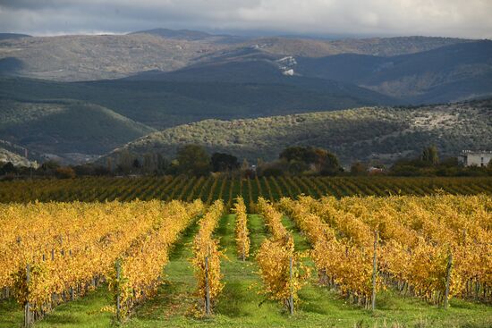Russia Crimea Environment
