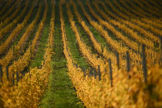 Russia Crimea Environment