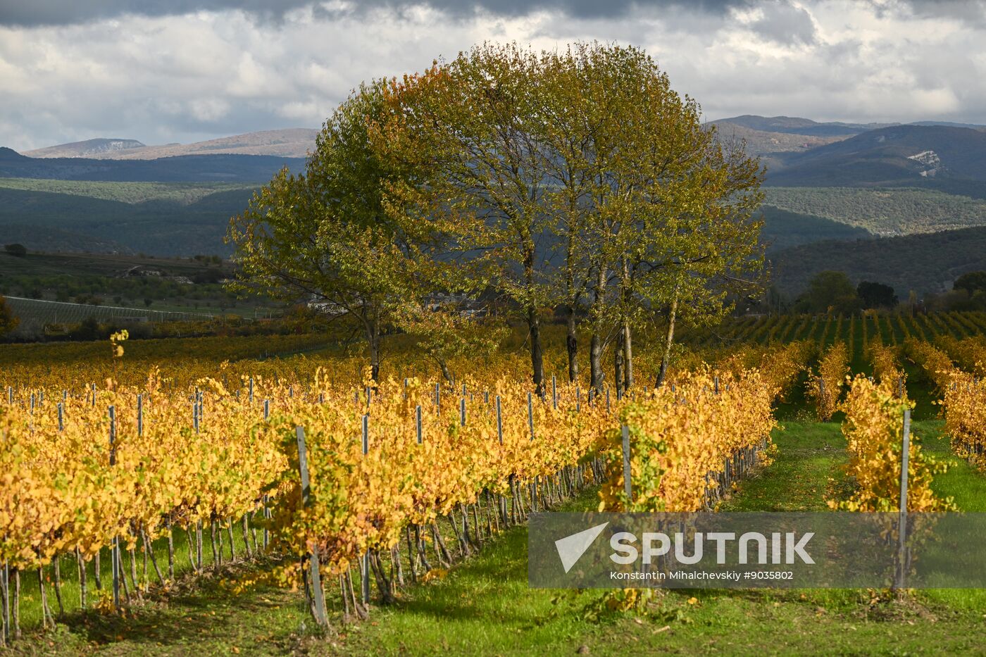 Russia Crimea Environment