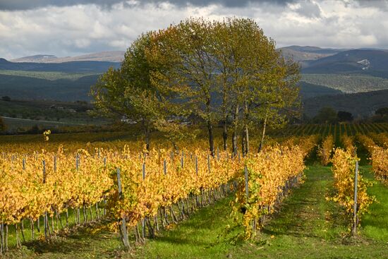 Russia Crimea Environment
