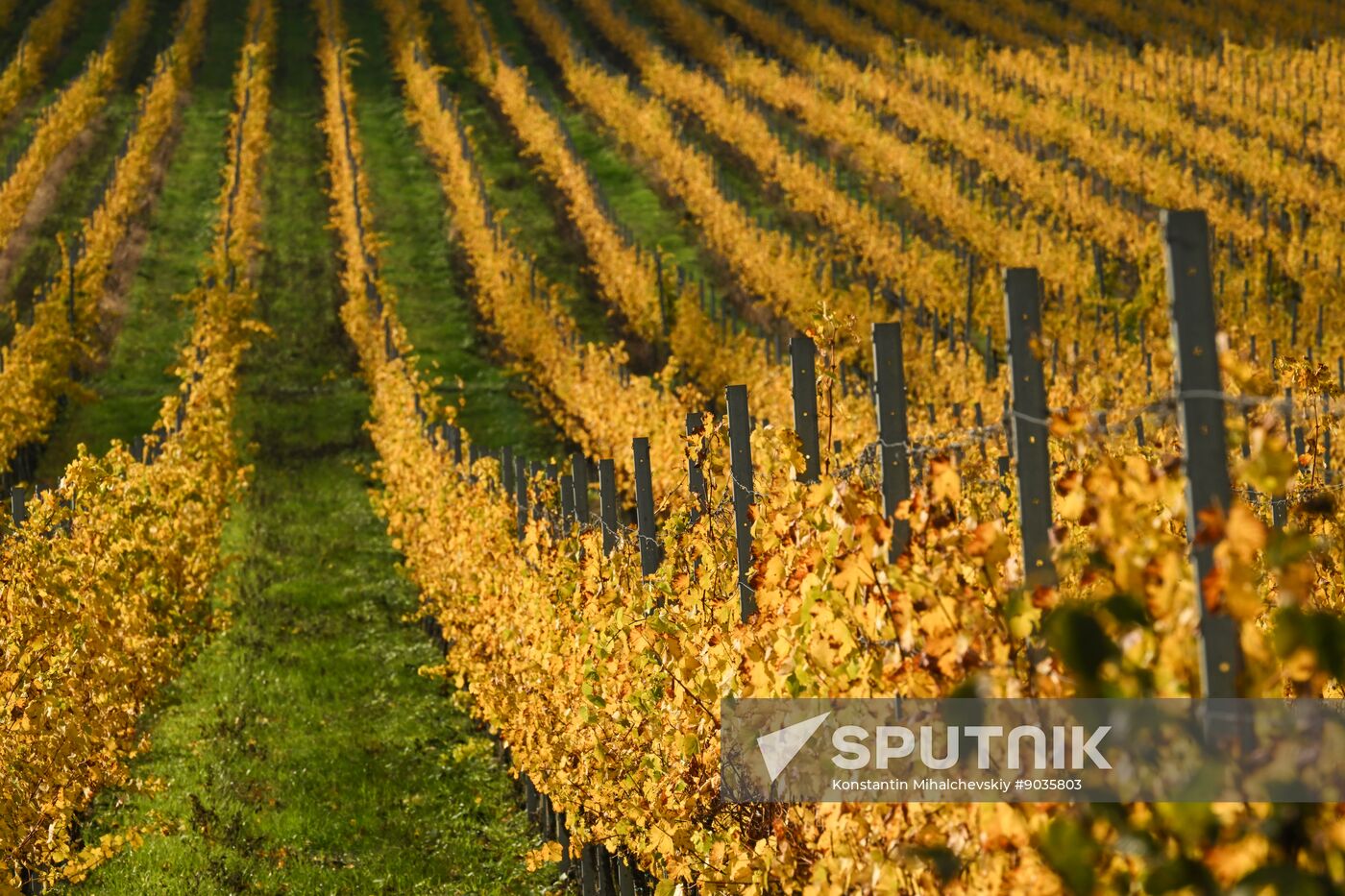 Russia Crimea Environment