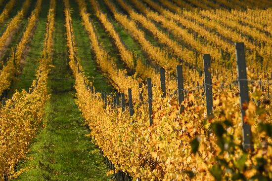 Russia Crimea Environment