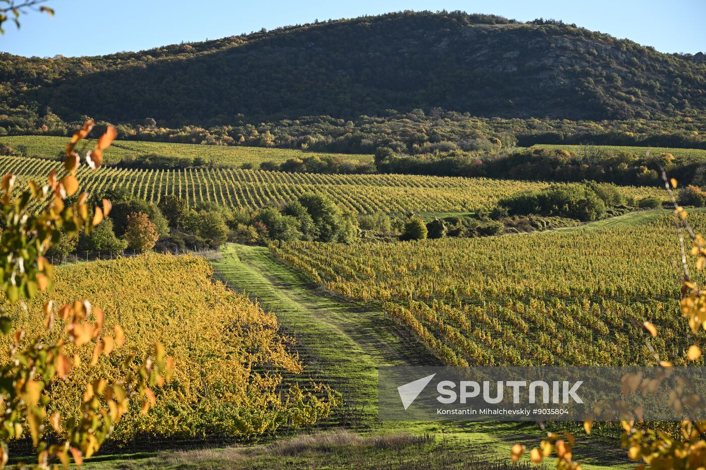 Russia Crimea Environment