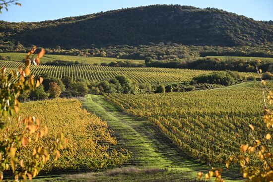 Russia Crimea Environment