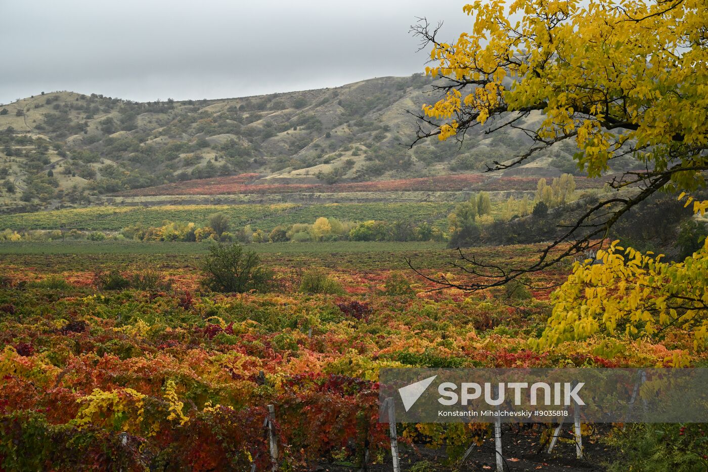 Russia Crimea Environment