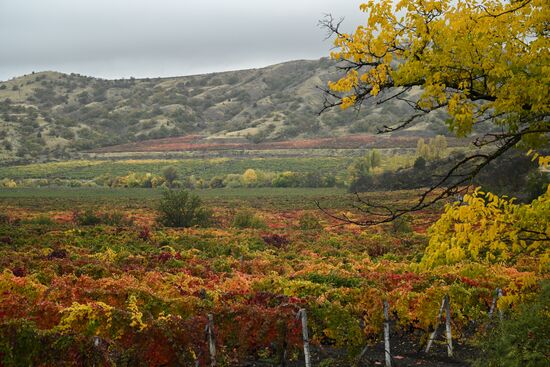 Russia Crimea Environment