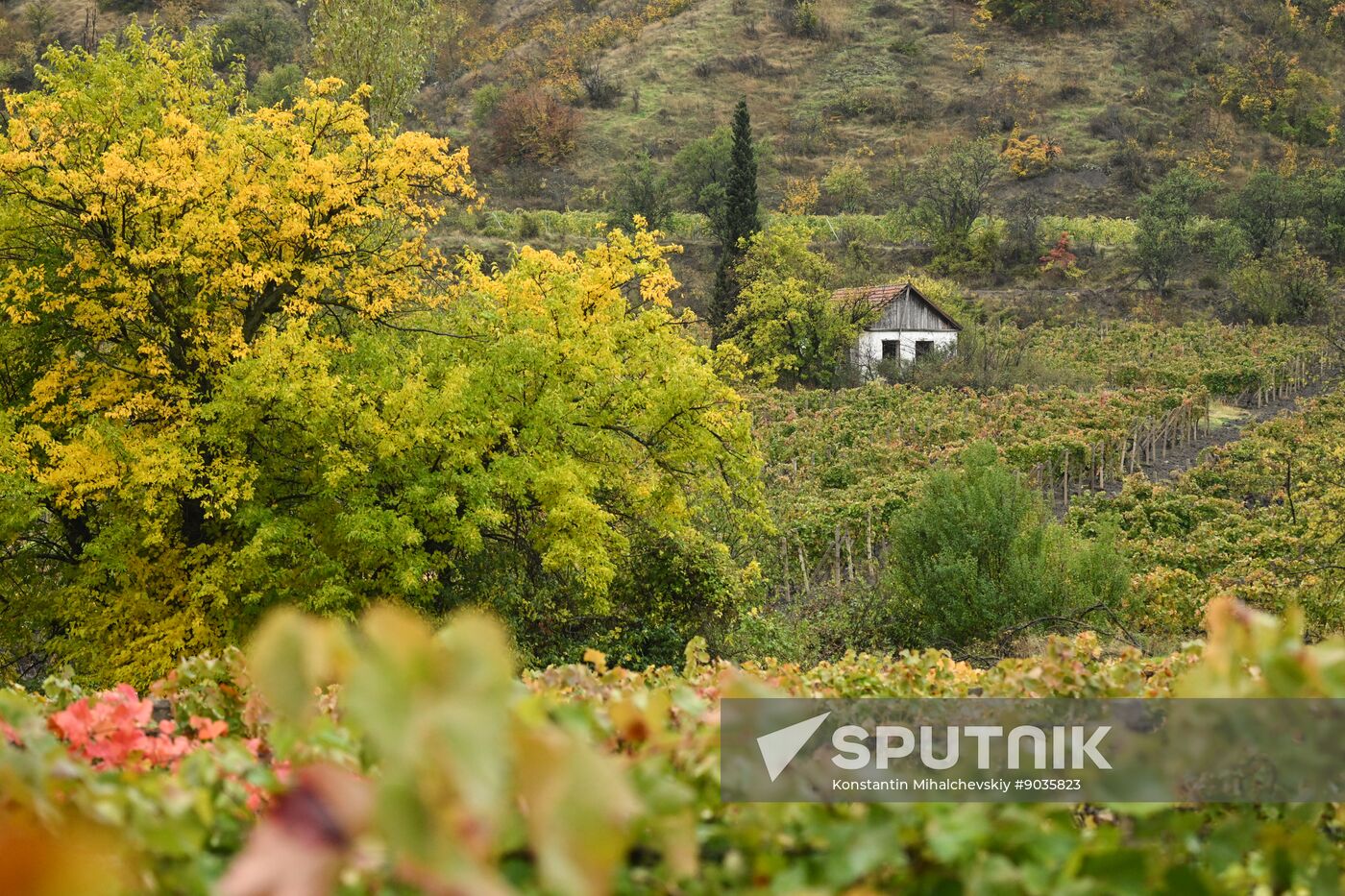 Russia Crimea Environment