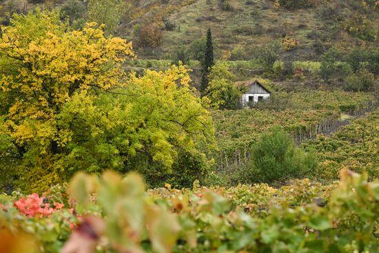 Russia Crimea Environment