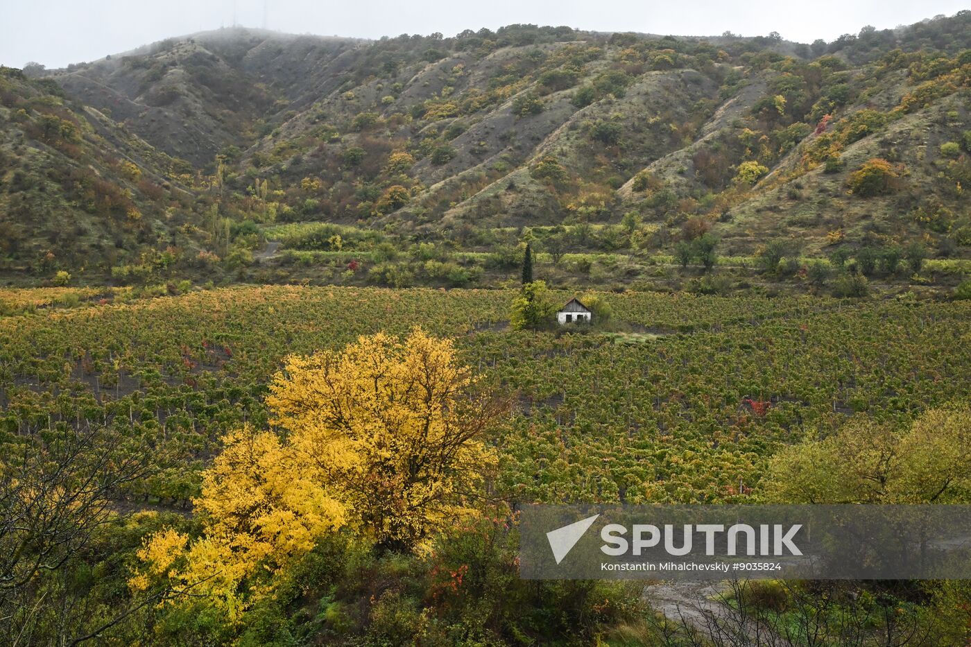 Russia Crimea Environment