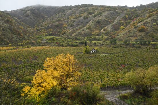 Russia Crimea Environment