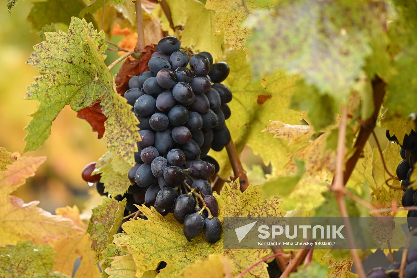 Russia Crimea Environment