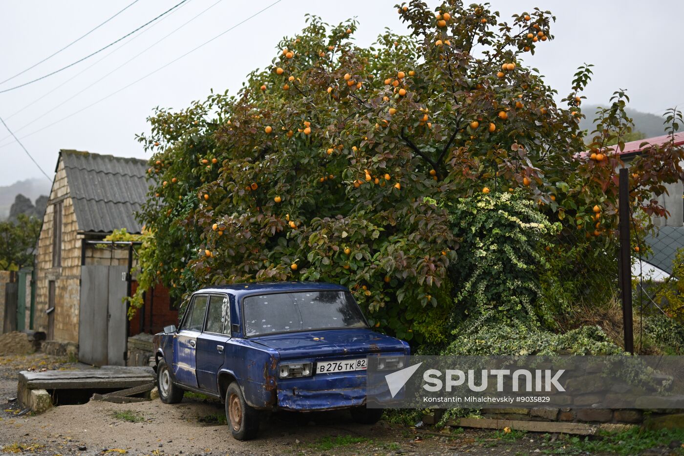Russia Crimea Environment