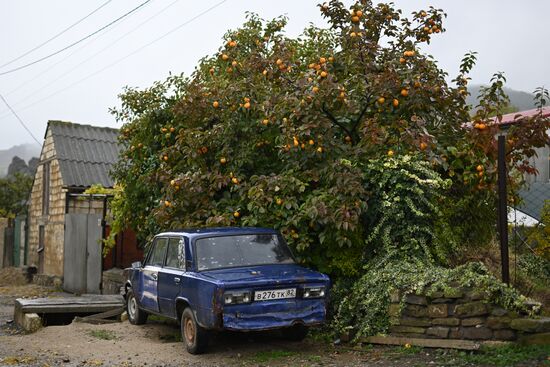 Russia Crimea Environment