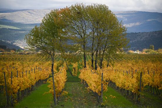 Russia Crimea Environment