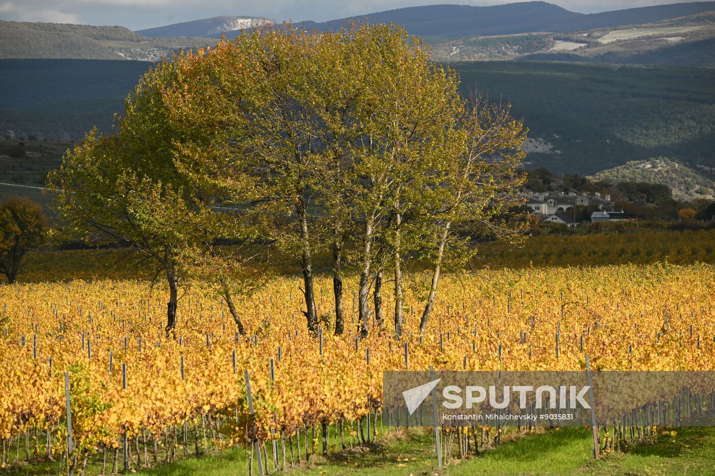 Russia Crimea Environment