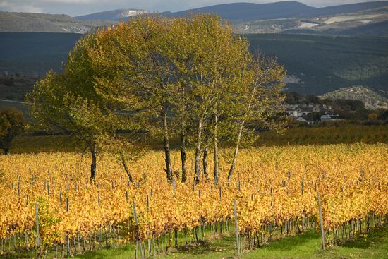 Russia Crimea Environment