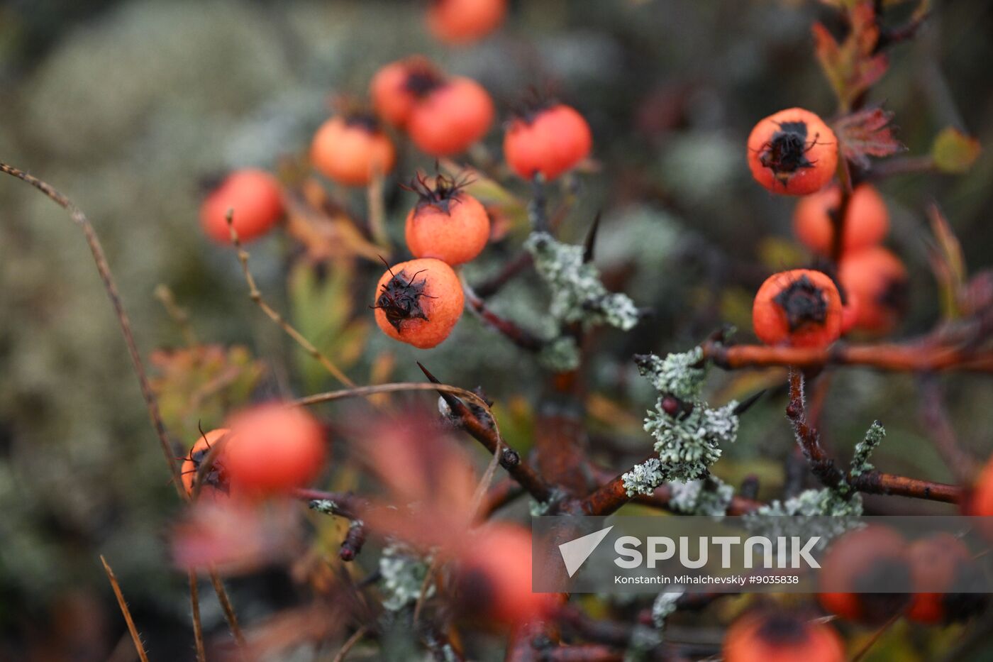 Russia Crimea Environment