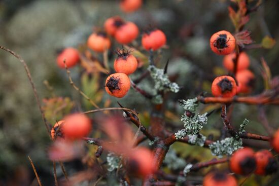 Russia Crimea Environment