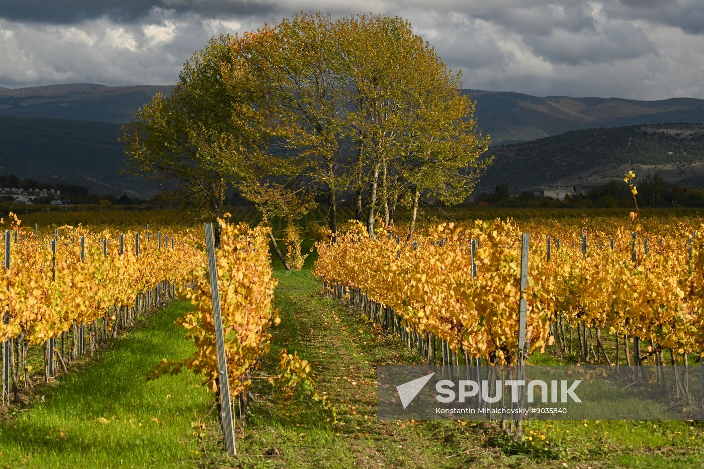 Russia Crimea Environment