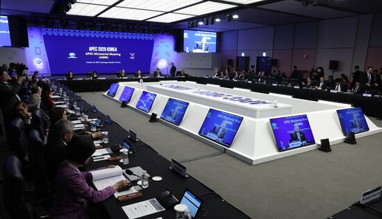 South Korea APEC CEO Summit