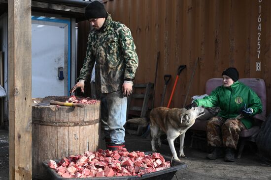Russia Animal Protection Fund