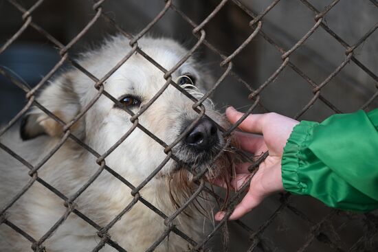 Russia Animal Protection Fund