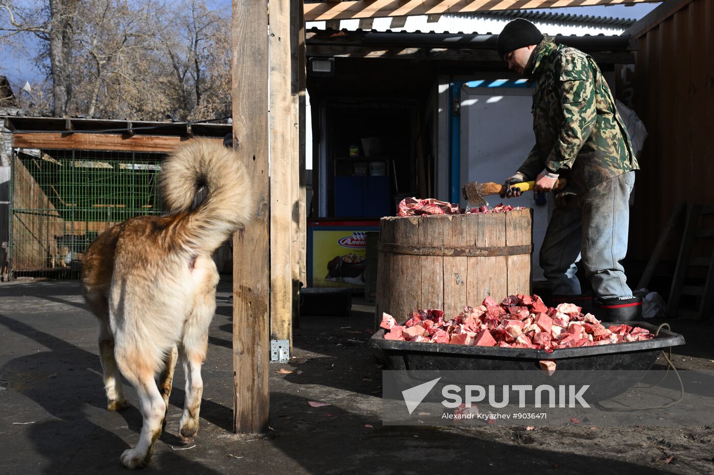 Russia Animal Protection Fund