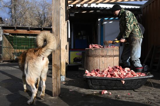 Russia Animal Protection Fund