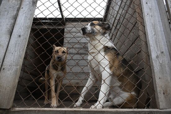 Russia Animal Protection Fund