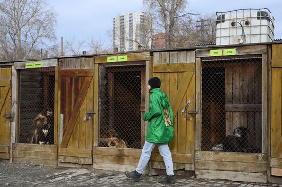 Russia Animal Protection Fund