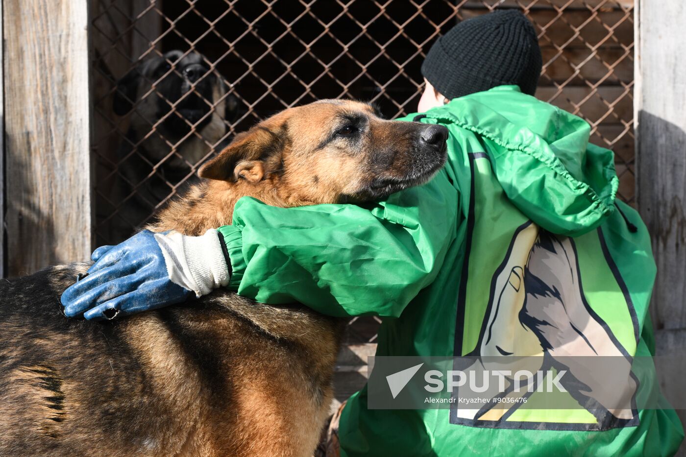 Russia Animal Protection Fund