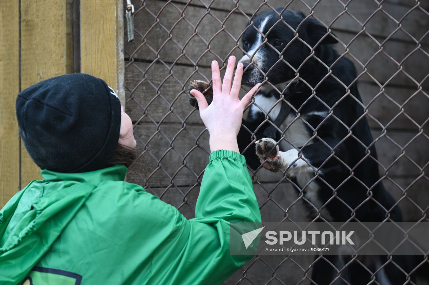 Russia Animal Protection Fund