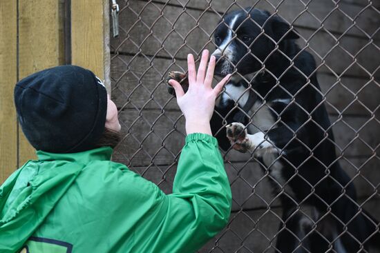 Russia Animal Protection Fund