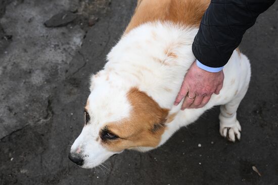 Russia Animal Protection Fund