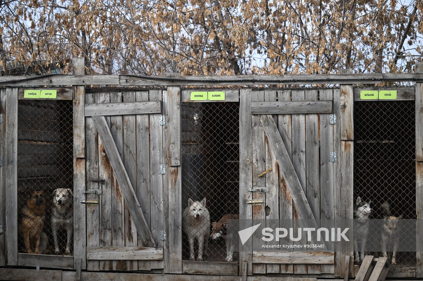 Russia Animal Protection Fund