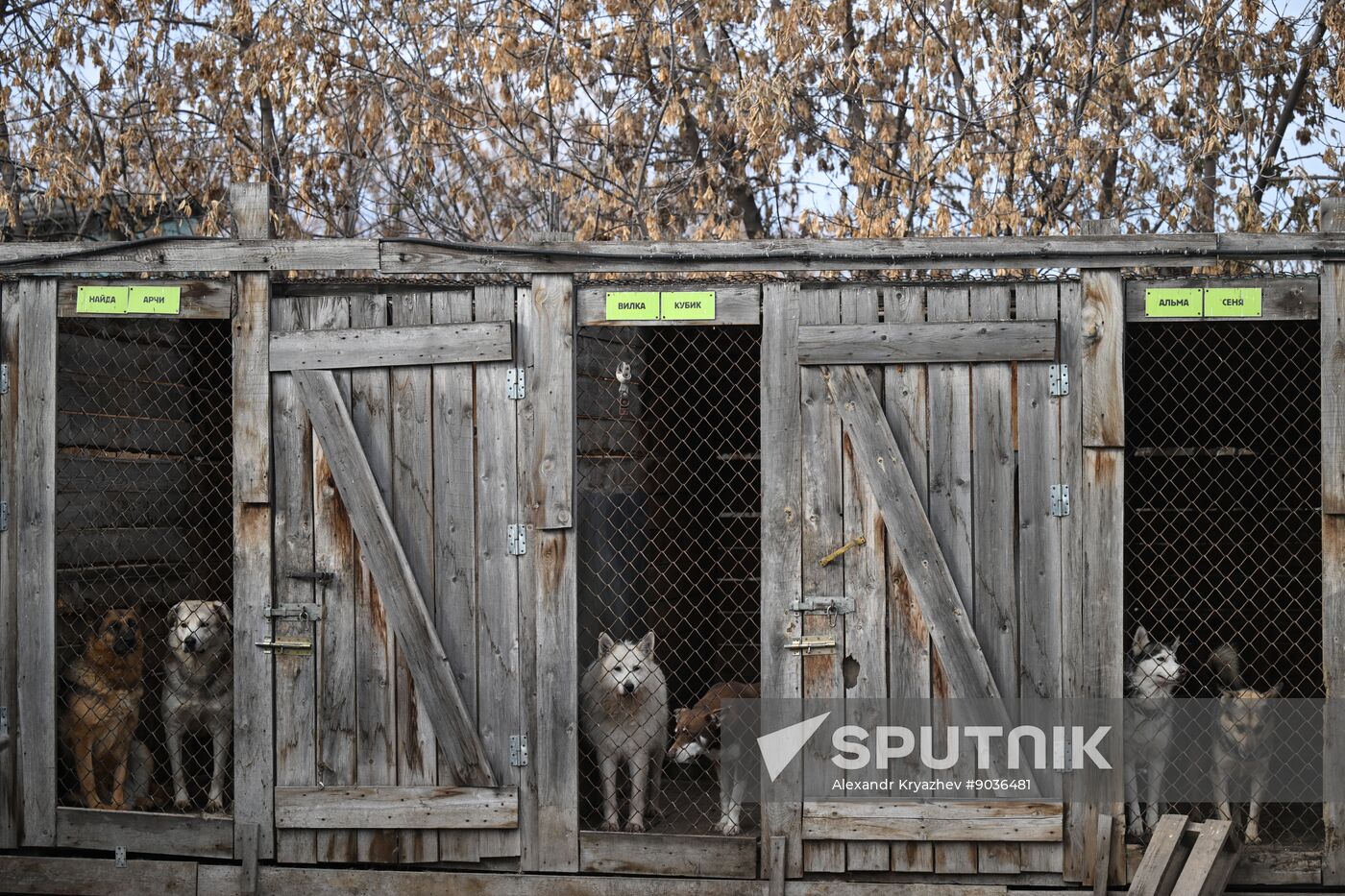 Russia Animal Protection Fund