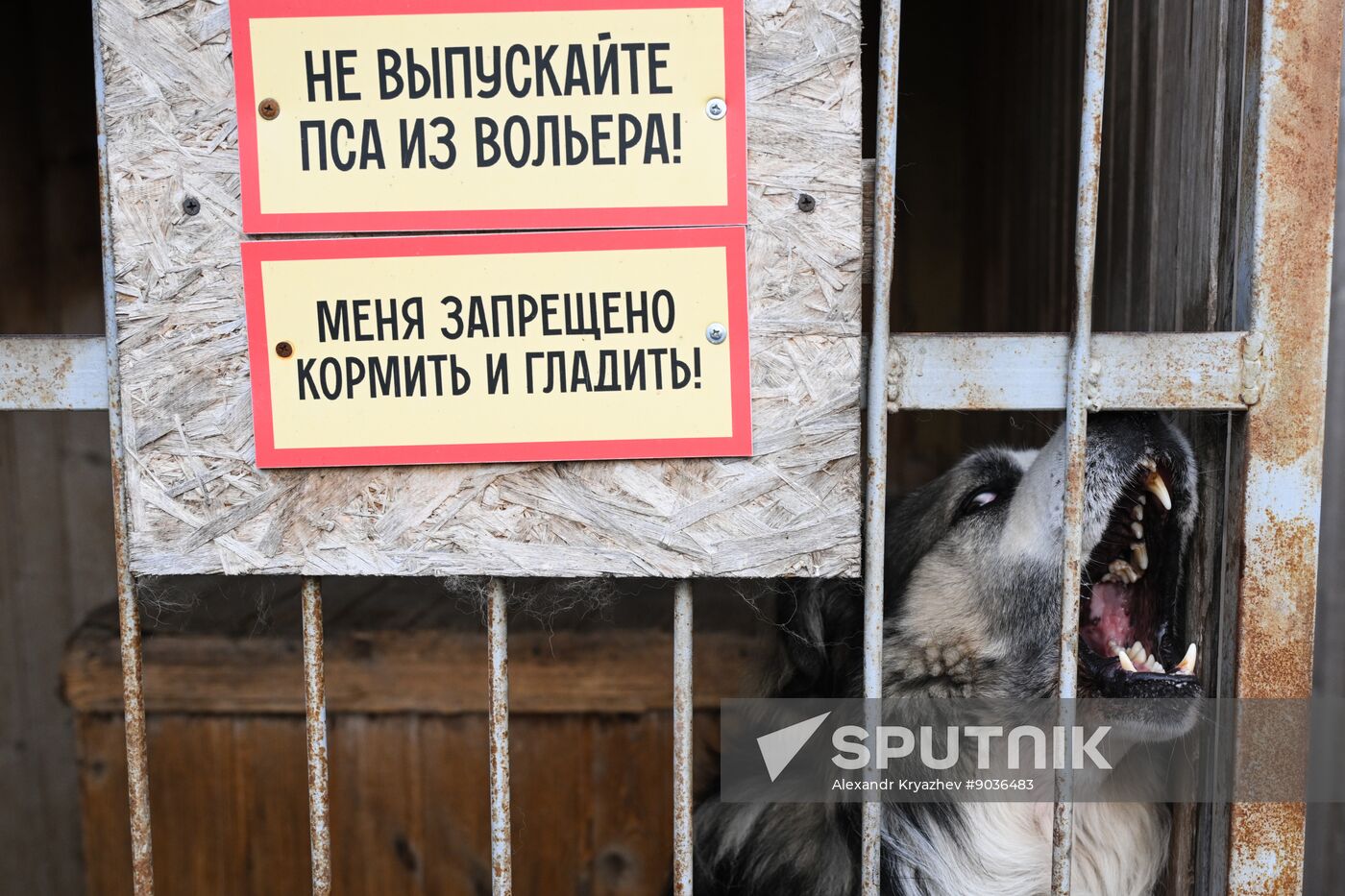 Russia Animal Protection Fund