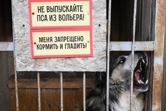 Russia Animal Protection Fund