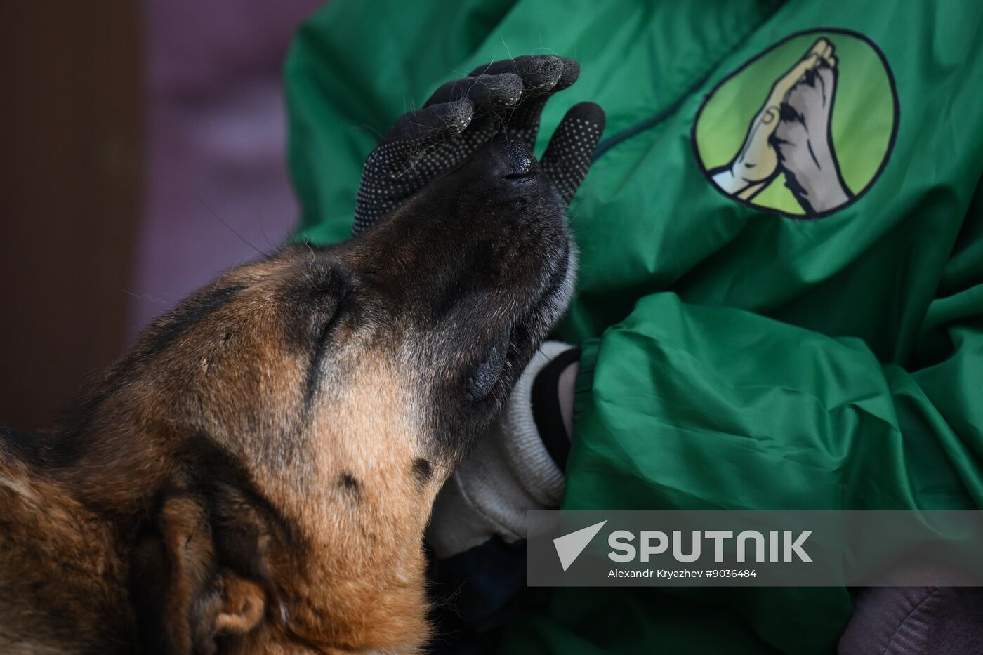 Russia Animal Protection Fund