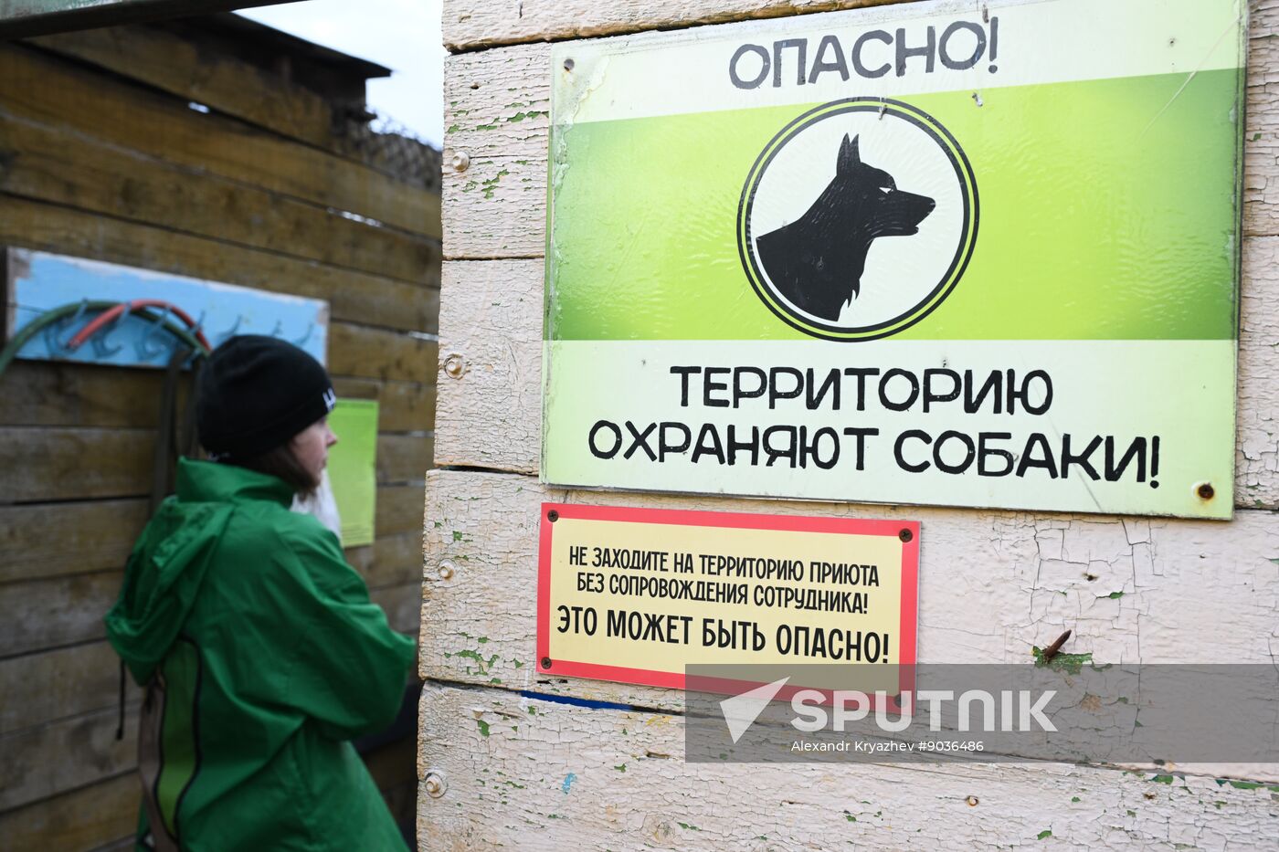 Russia Animal Protection Fund