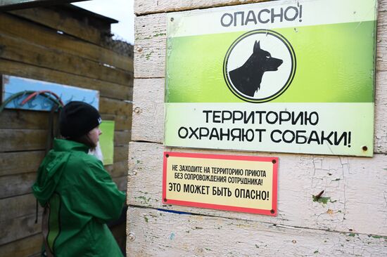 Russia Animal Protection Fund