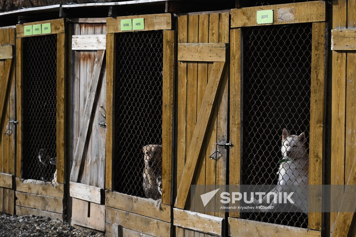 Russia Animal Protection Fund