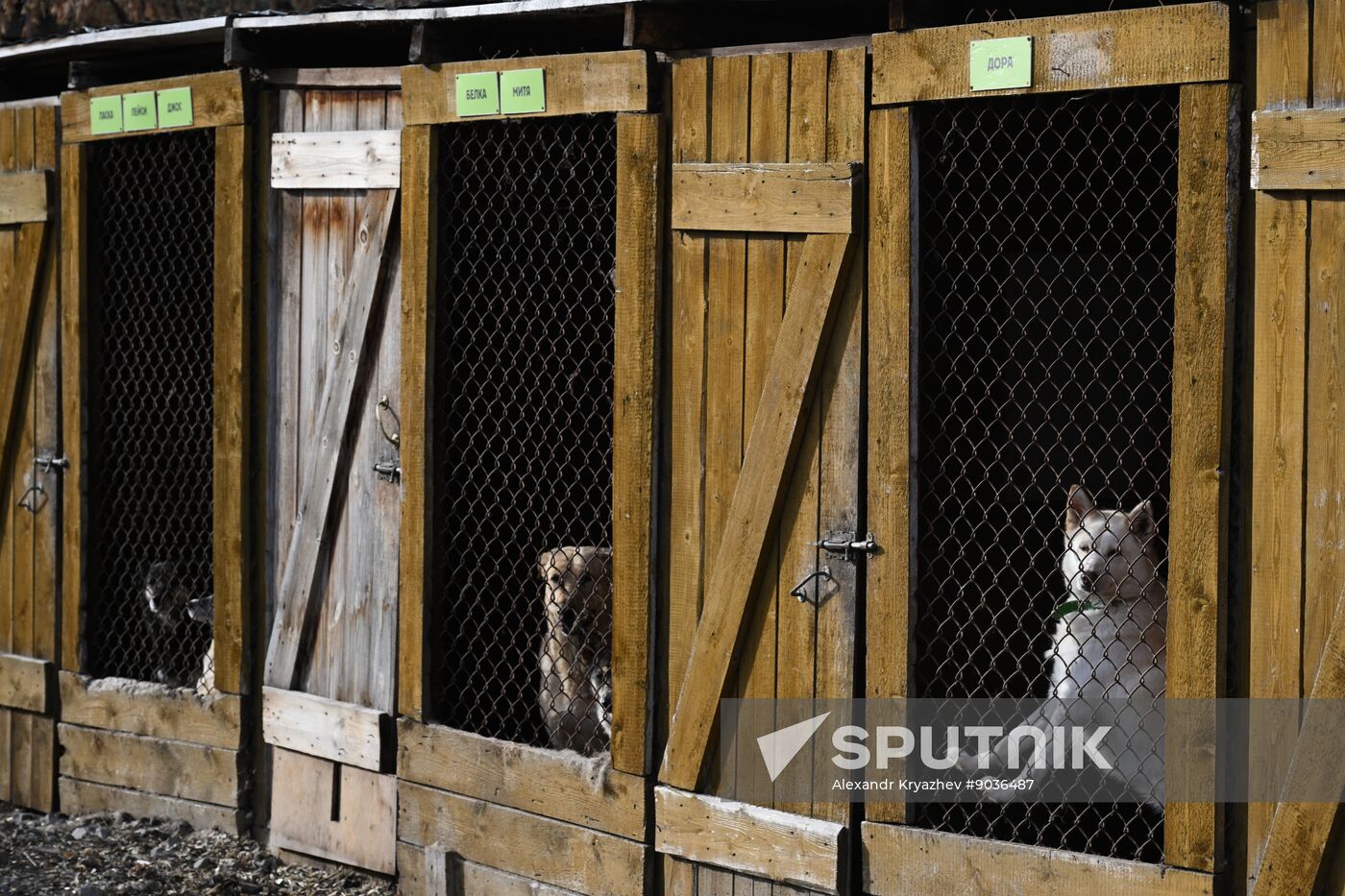 Russia Animal Protection Fund